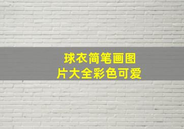 球衣简笔画图片大全彩色可爱