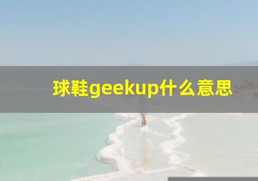 球鞋geekup什么意思