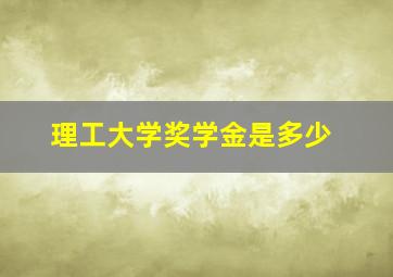 理工大学奖学金是多少