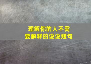 理解你的人不需要解释的说说短句