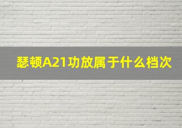 瑟顿A21功放属于什么档次