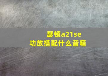 瑟顿a21se功放搭配什么音箱