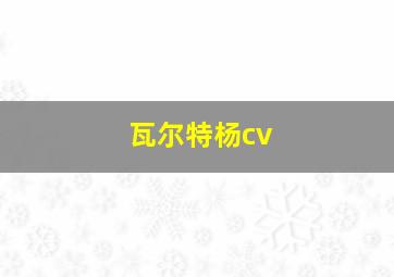 瓦尔特杨cv