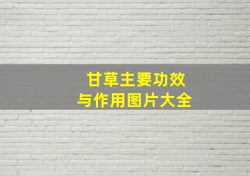 甘草主要功效与作用图片大全