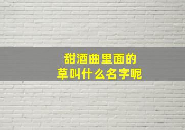 甜酒曲里面的草叫什么名字呢