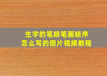 生字的笔顺笔画顺序怎么写的图片视频教程