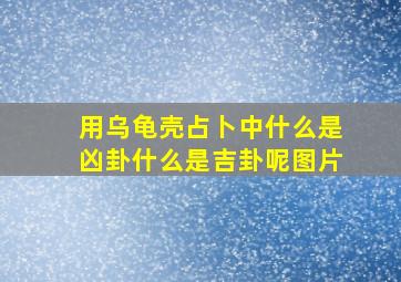 用乌龟壳占卜中什么是凶卦什么是吉卦呢图片