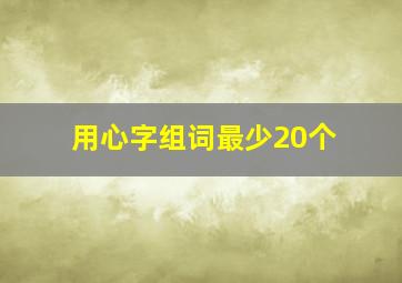 用心字组词最少20个