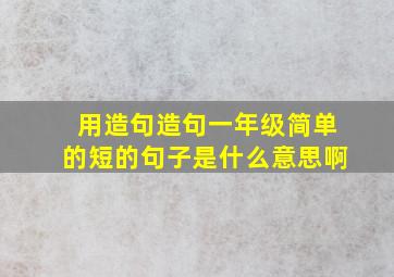 用造句造句一年级简单的短的句子是什么意思啊