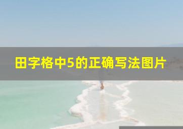 田字格中5的正确写法图片