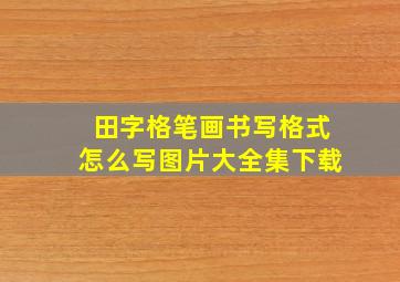 田字格笔画书写格式怎么写图片大全集下载