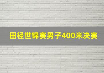 田径世锦赛男子400米决赛