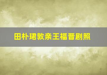 田朴珺敦亲王福晋剧照