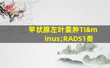 甲状腺左叶囊肿TI−RADS1类