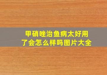 甲硝唑治鱼病太好用了会怎么样吗图片大全