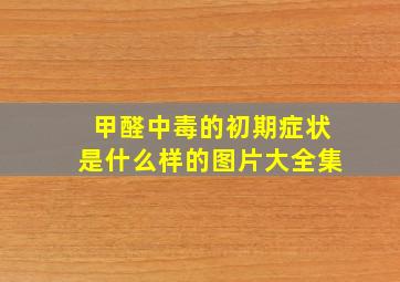 甲醛中毒的初期症状是什么样的图片大全集