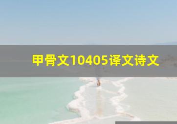 甲骨文10405译文诗文