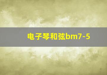 电子琴和弦bm7-5