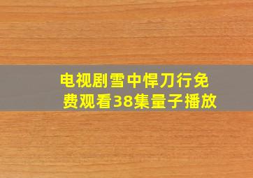 电视剧雪中悍刀行免费观看38集量子播放