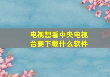 电视想看中央电视台要下载什么软件