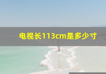 电视长113cm是多少寸