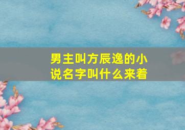 男主叫方辰逸的小说名字叫什么来着