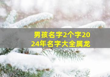 男孩名字2个字2024年名字大全属龙