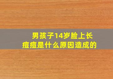 男孩子14岁脸上长痘痘是什么原因造成的