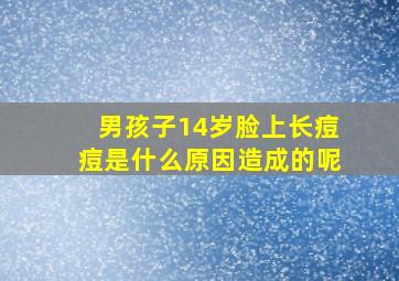 男孩子14岁脸上长痘痘是什么原因造成的呢