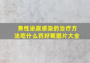 男性泌尿感染的治疗方法吃什么药好呢图片大全