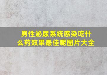 男性泌尿系统感染吃什么药效果最佳呢图片大全