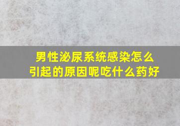 男性泌尿系统感染怎么引起的原因呢吃什么药好