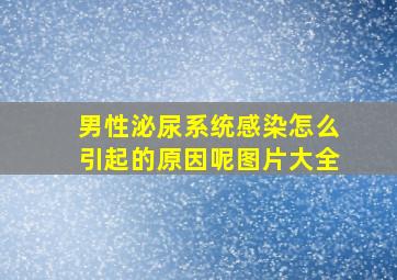 男性泌尿系统感染怎么引起的原因呢图片大全