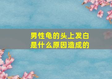 男性龟的头上发白是什么原因造成的