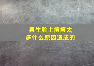 男生脸上痘痘太多什么原因造成的