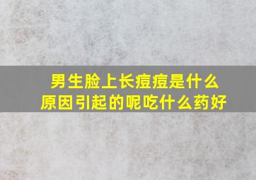 男生脸上长痘痘是什么原因引起的呢吃什么药好