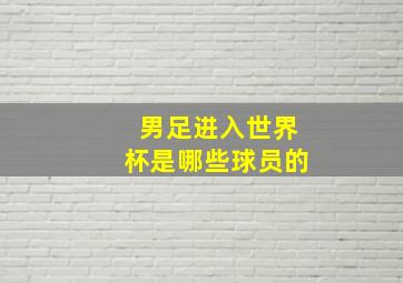 男足进入世界杯是哪些球员的