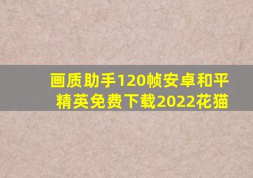 画质助手120帧安卓和平精英免费下载2022花猫