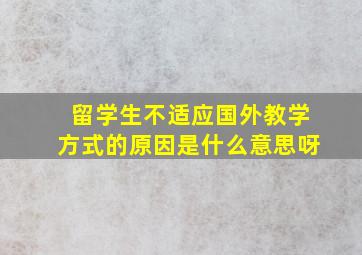 留学生不适应国外教学方式的原因是什么意思呀