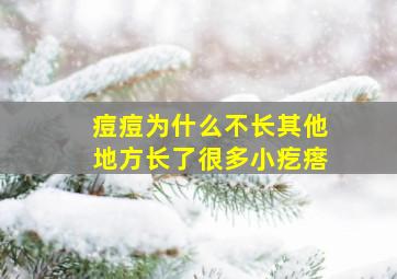 痘痘为什么不长其他地方长了很多小疙瘩