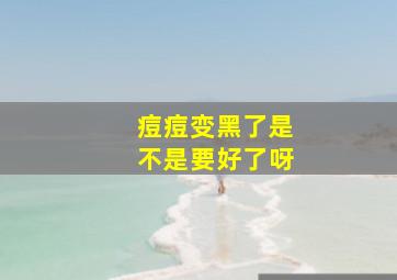 痘痘变黑了是不是要好了呀