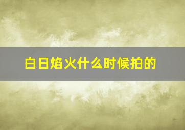 白日焰火什么时候拍的