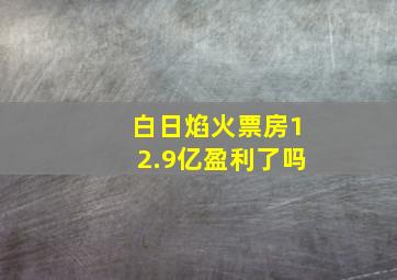 白日焰火票房12.9亿盈利了吗