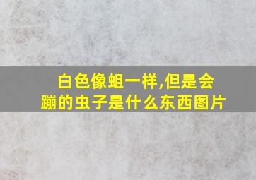 白色像蛆一样,但是会蹦的虫子是什么东西图片