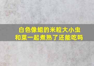 白色像蛆的米粒大小虫和菜一起煮熟了还能吃吗