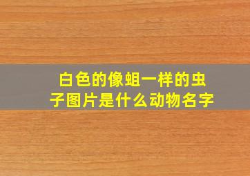 白色的像蛆一样的虫子图片是什么动物名字