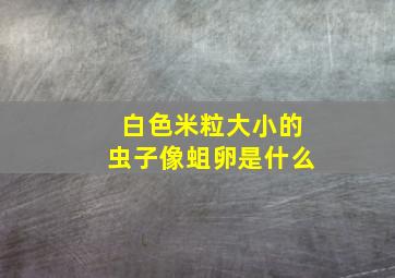 白色米粒大小的虫子像蛆卵是什么