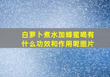 白萝卜煮水加蜂蜜喝有什么功效和作用呢图片