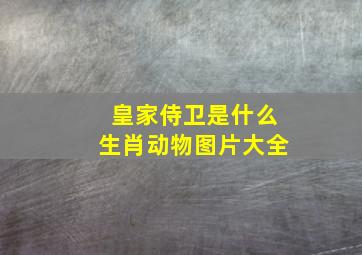 皇家侍卫是什么生肖动物图片大全