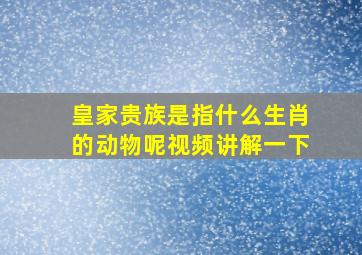 皇家贵族是指什么生肖的动物呢视频讲解一下